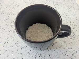 Rice