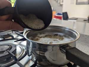 Rice
