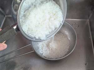 Rice